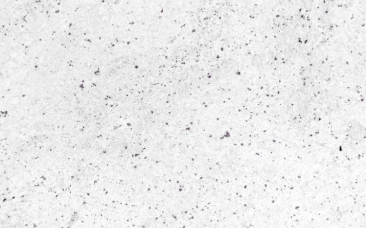 cost of marble counter tops